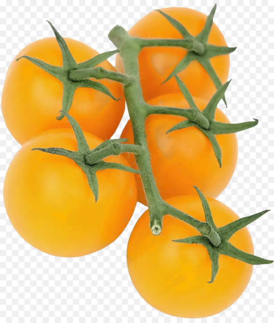 Tomates，Vegetal PNG