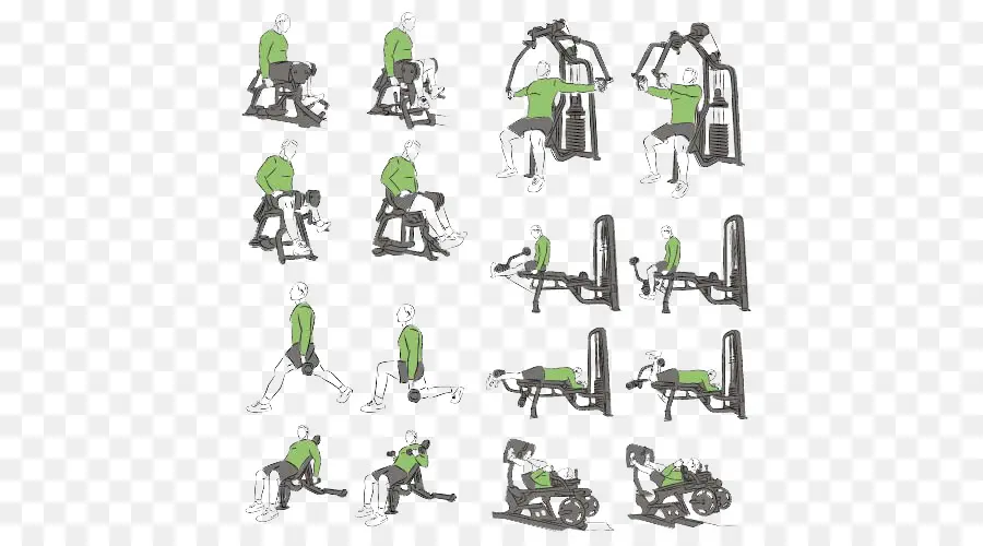 Equipamento De Ginástica，Exercício PNG