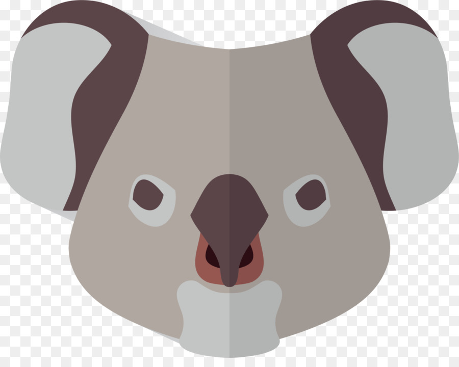 Coala，Urso PNG