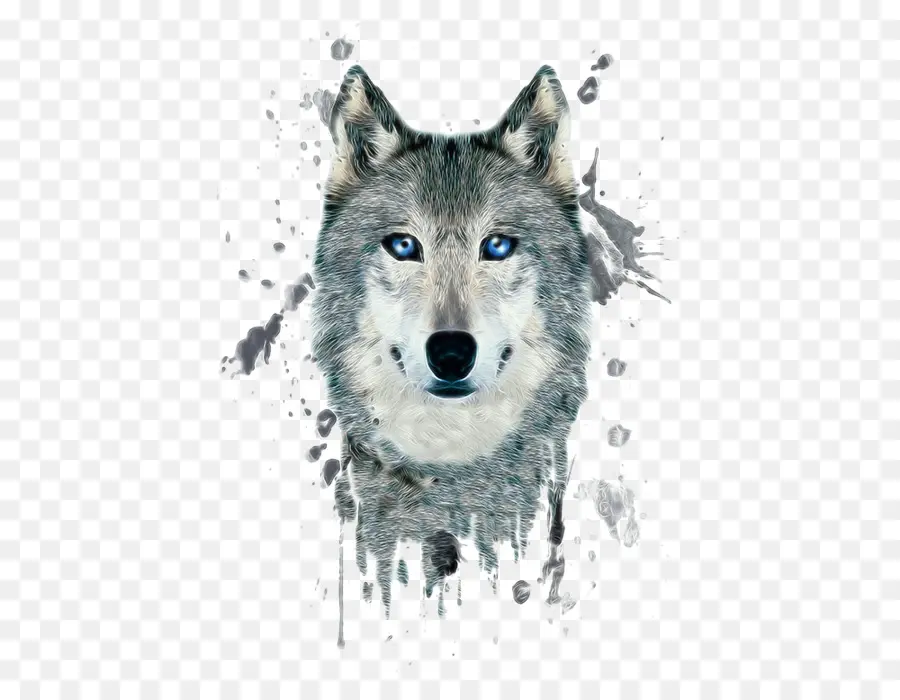 Arctic Wolf，Cartaz PNG