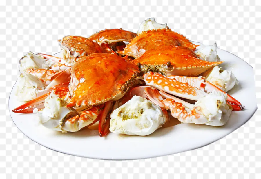 Caranguejo，Dungeness Crab PNG
