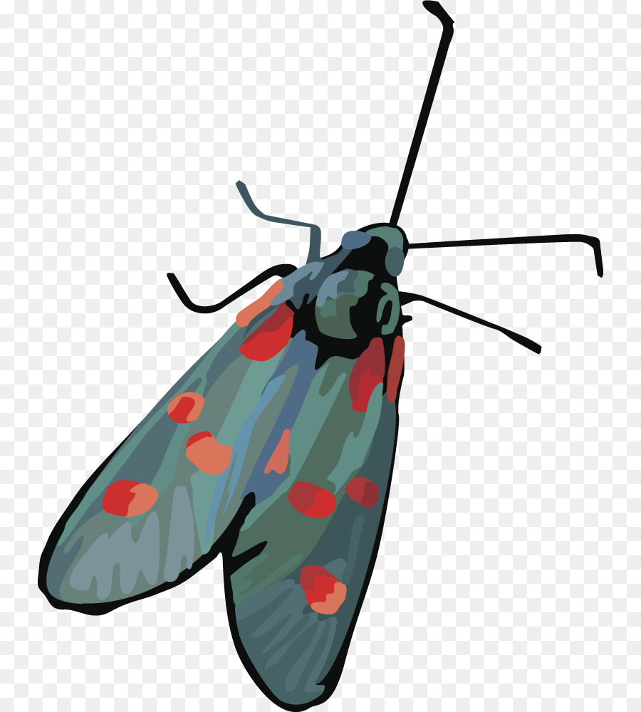 Mariposa，Erro PNG