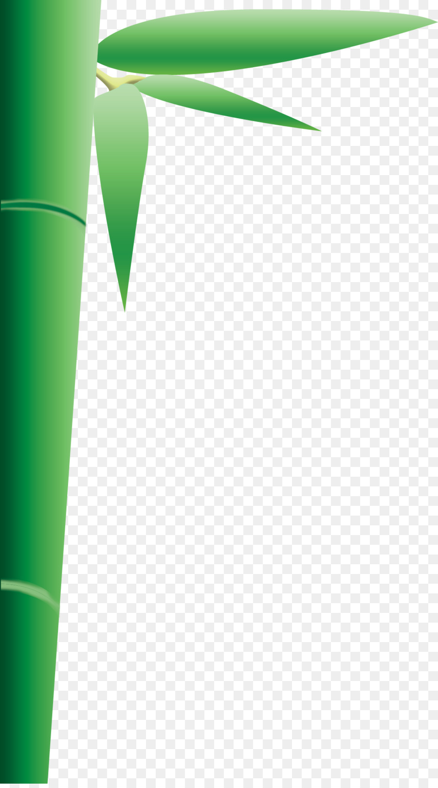 Design Gráfico，Verde PNG