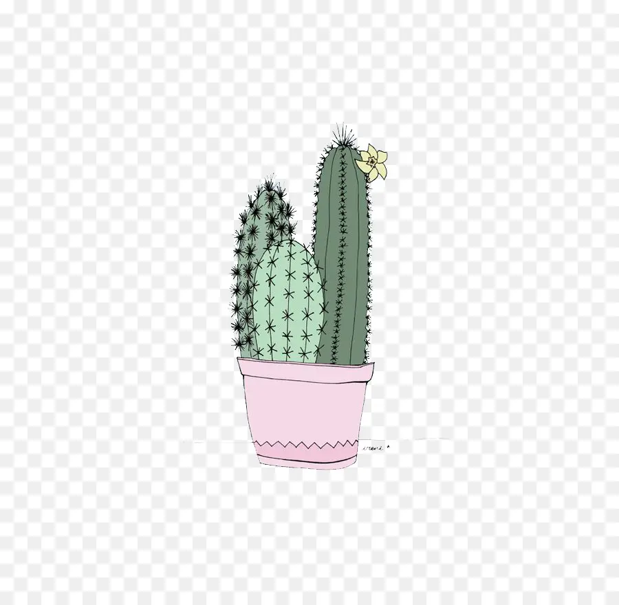 Cactaceae，Ecrã De Bloqueio PNG