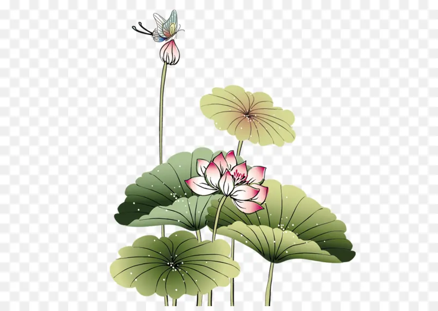 Flores De Lótus，Folhas PNG