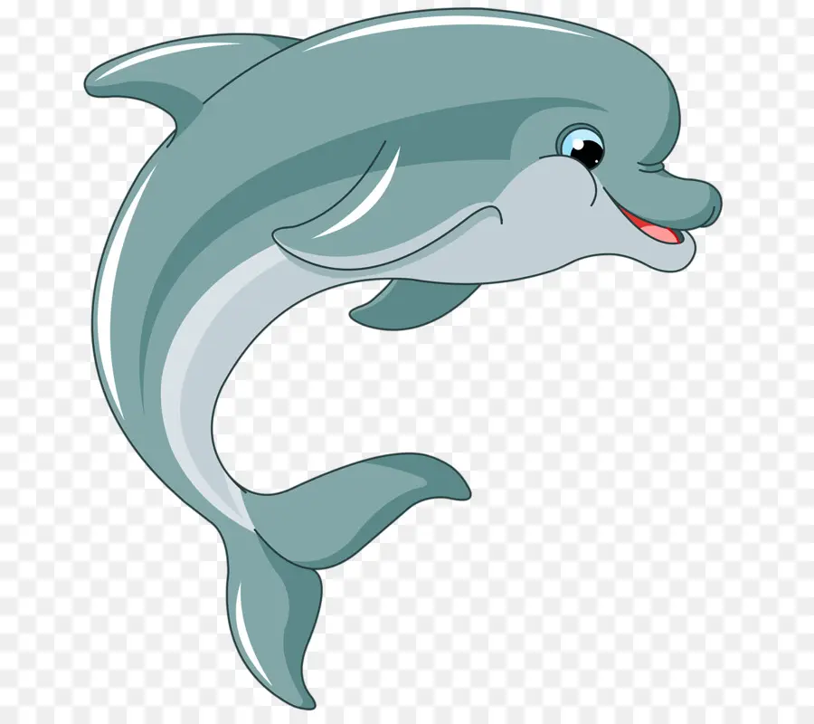 Dolphin，Royaltyfree PNG