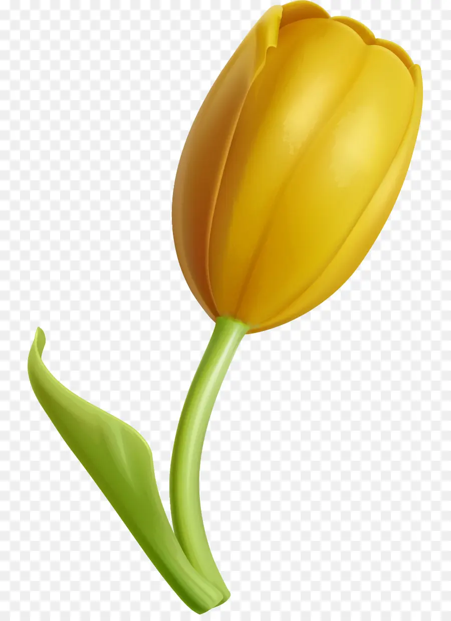 Tulip，Amarelo PNG