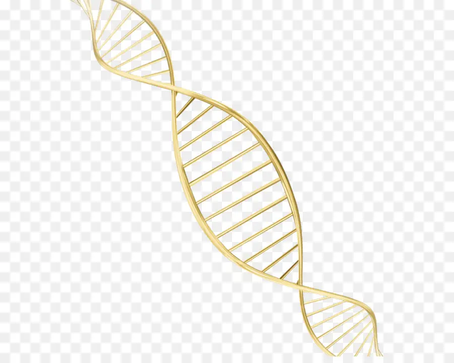 Dna，Rosto PNG