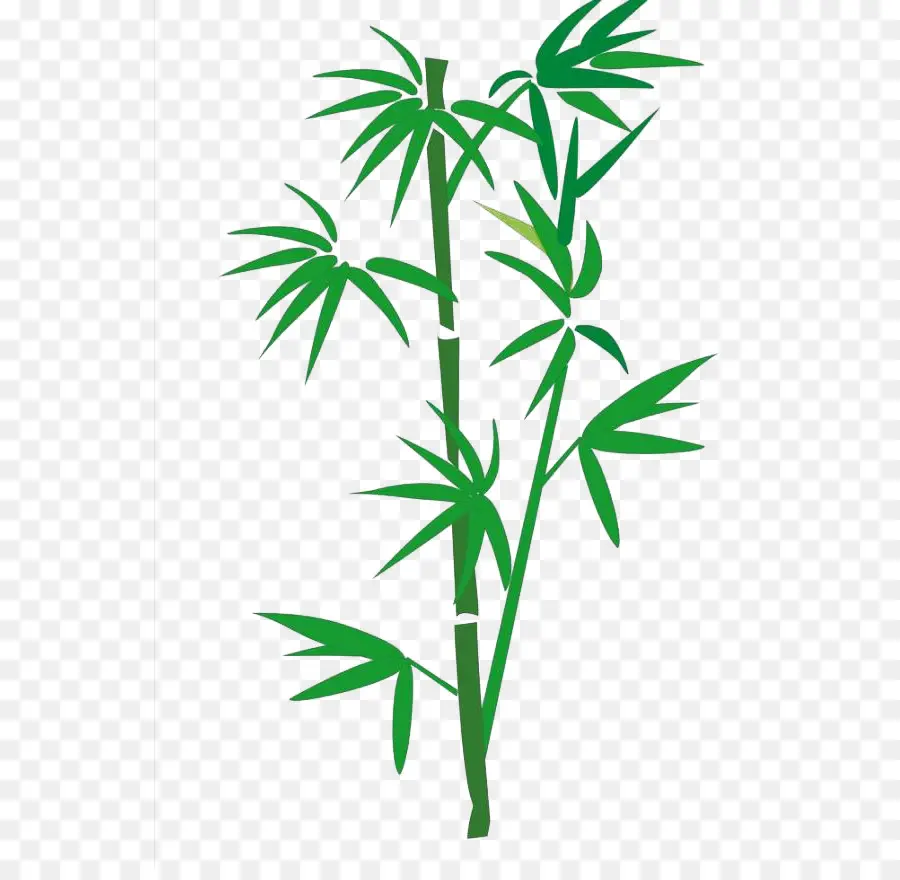 Bambu，Cartoon PNG