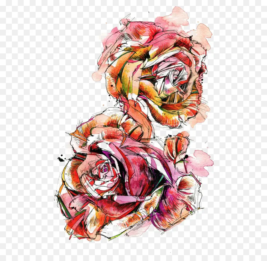 Rosa，Pintura Em Aquarela PNG