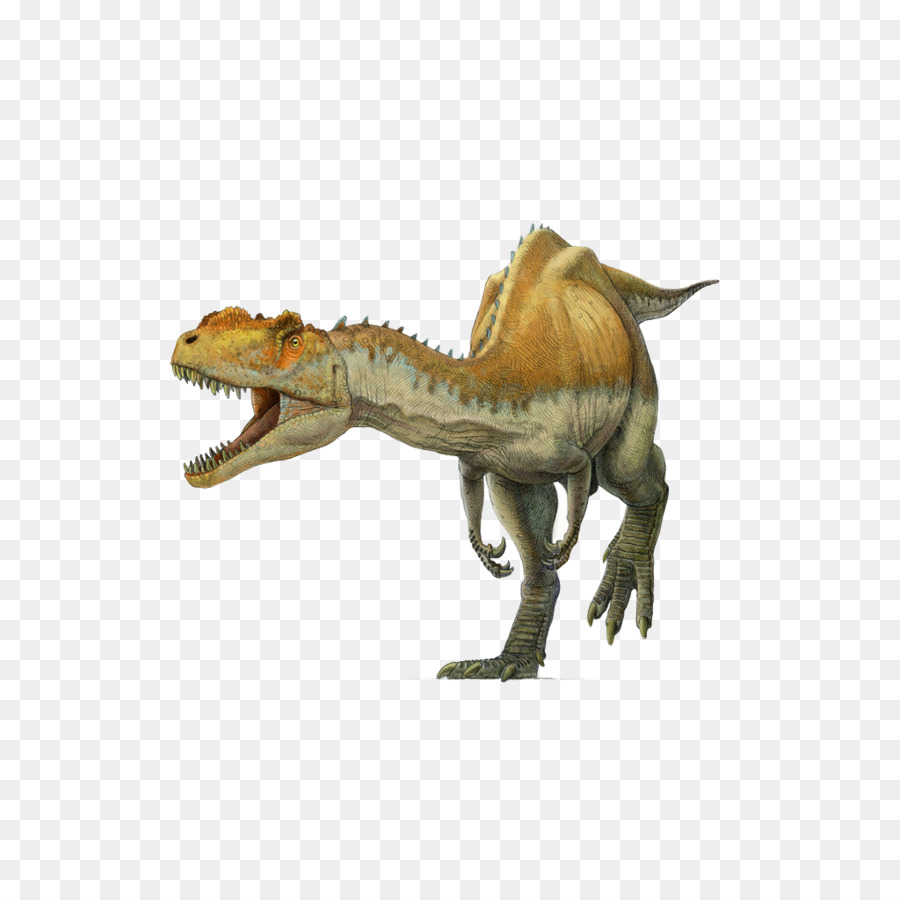 Yangchuanosaurus，Tiranossauro PNG