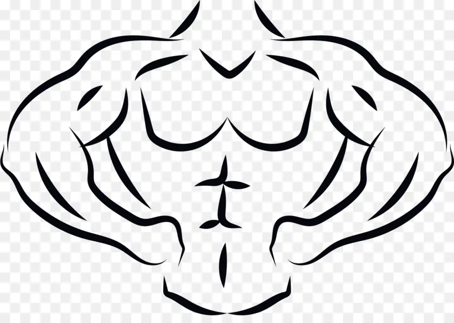 Torso Muscular，Fitness PNG