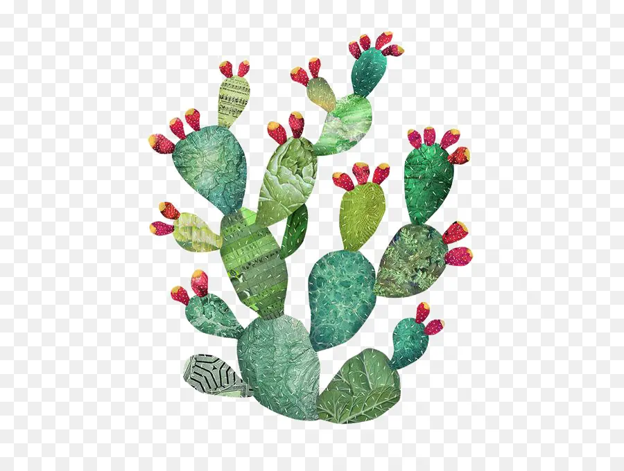 Cactaceae，Pintura Em Aquarela PNG