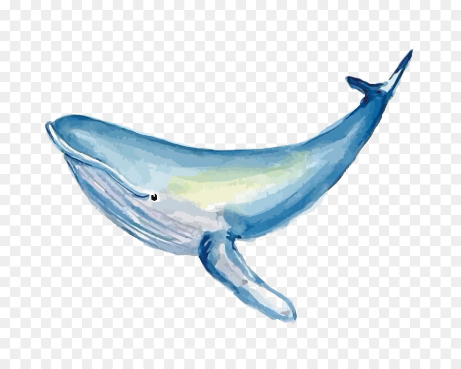 desenho aquarela de conto de baleia 663582 Vetor no Vecteezy