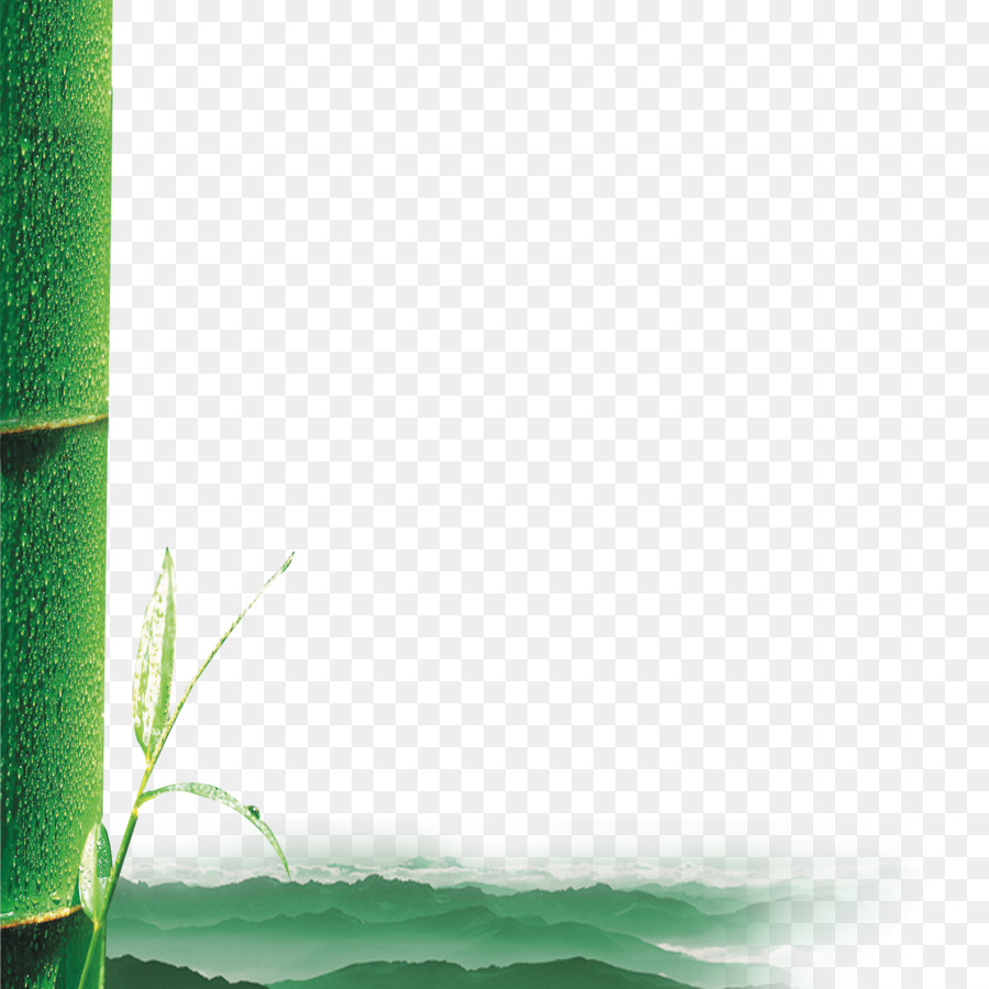 Bambu，Verde PNG