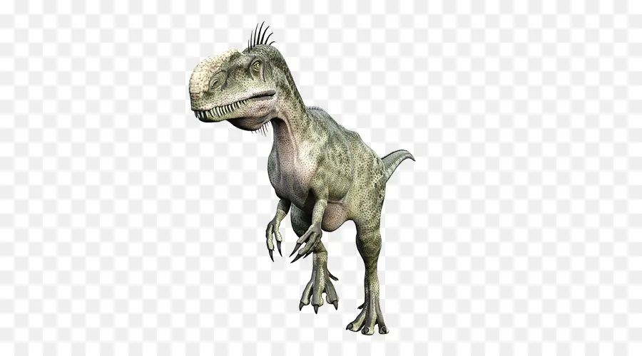 Tiranossauro Rex，Dentes PNG