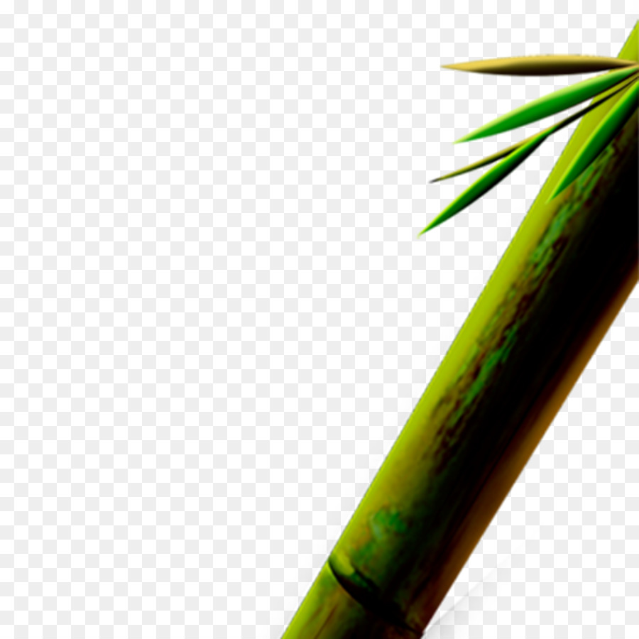 Bambu，Folhas PNG