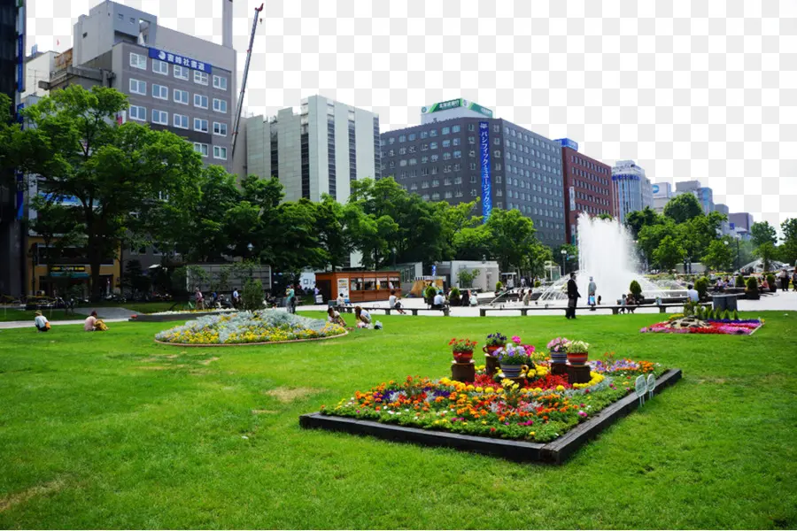 Parque Da Cidade，Urbano PNG