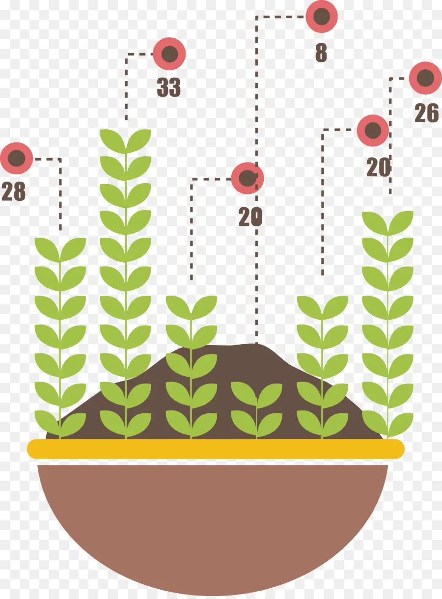 Crescimento Das Plantas，Crescimento PNG