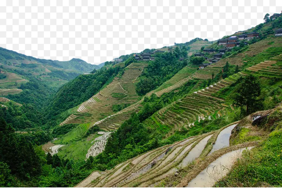 Montagem Do Cenário，Terraço PNG