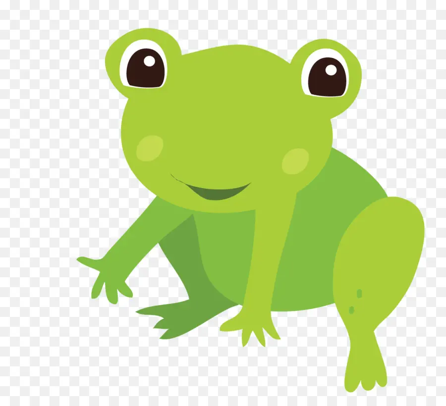 Sapo，Verde PNG