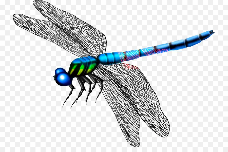 Borboleta，Mosquito PNG