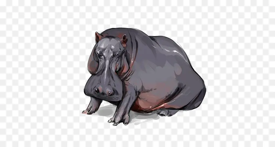 Hipopótamo，Desenho PNG