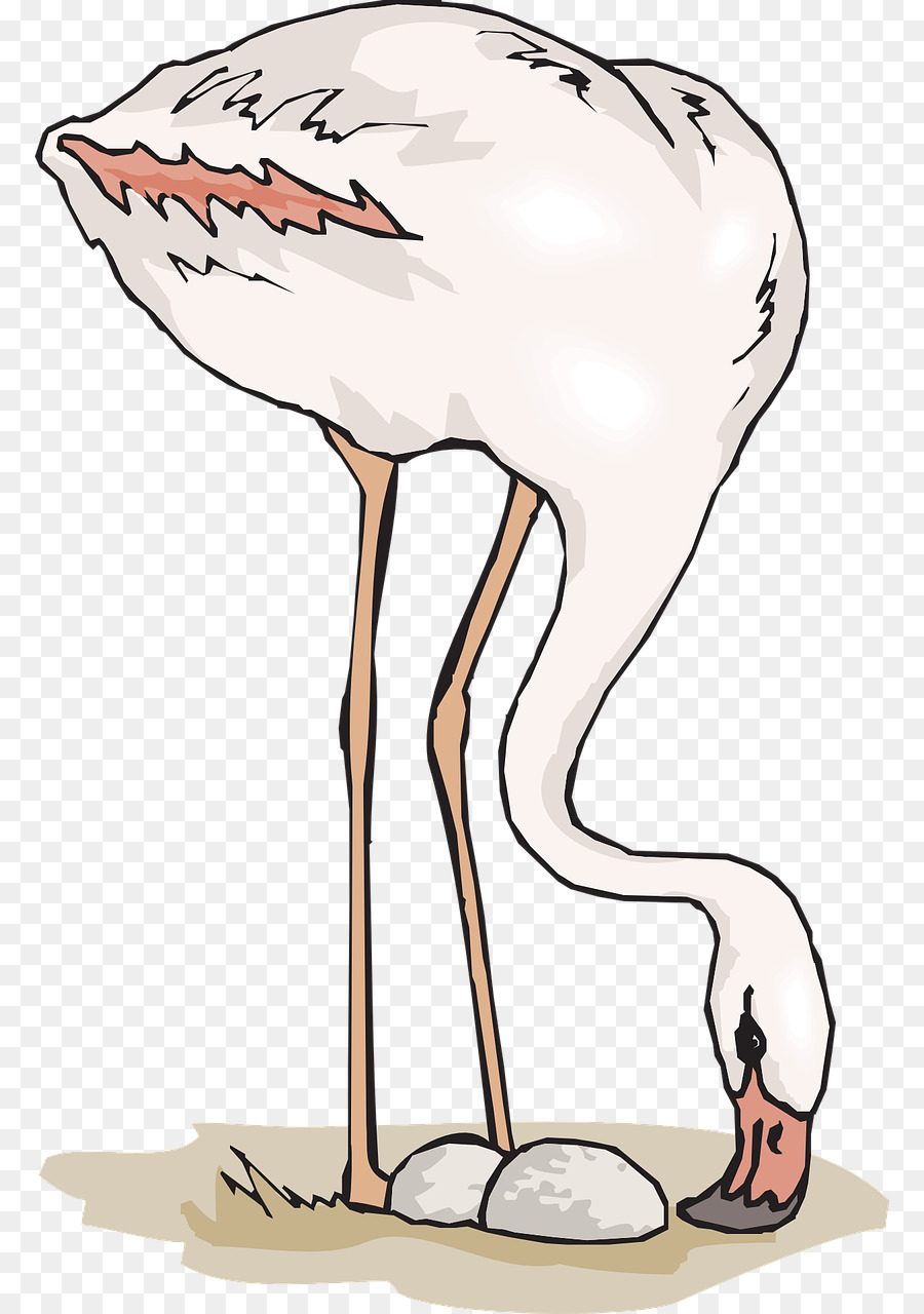 Tshirt，Flamingo PNG