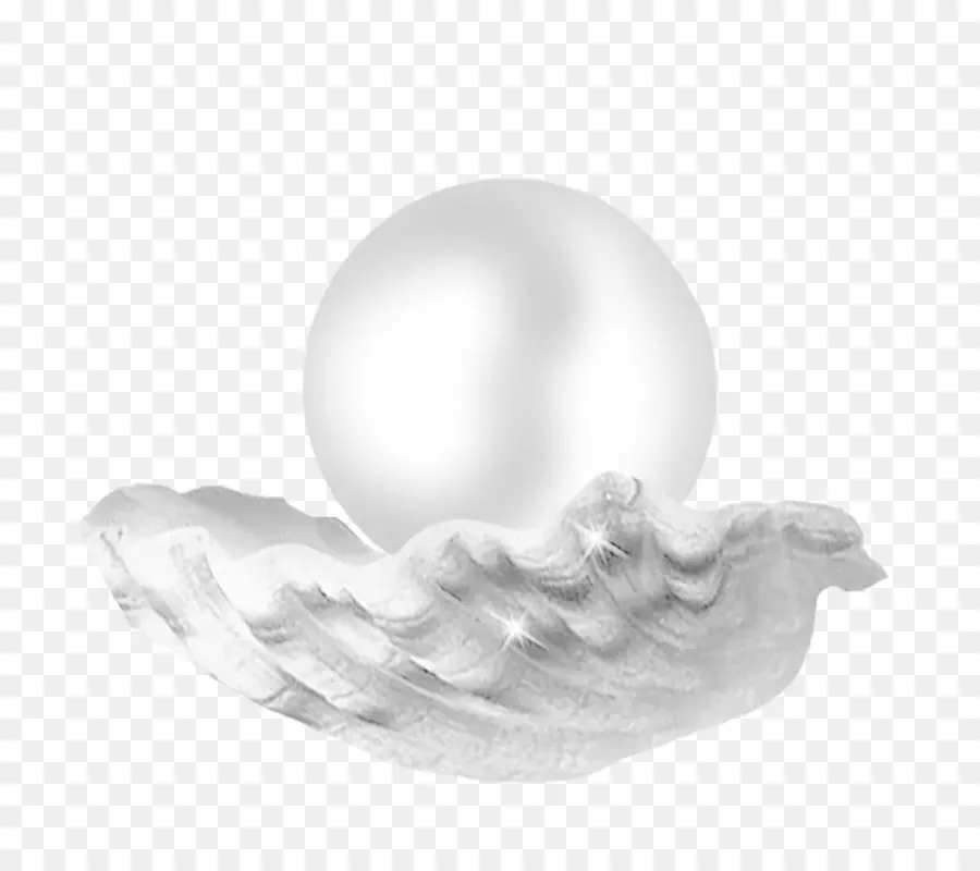 Pérola，Seashell PNG