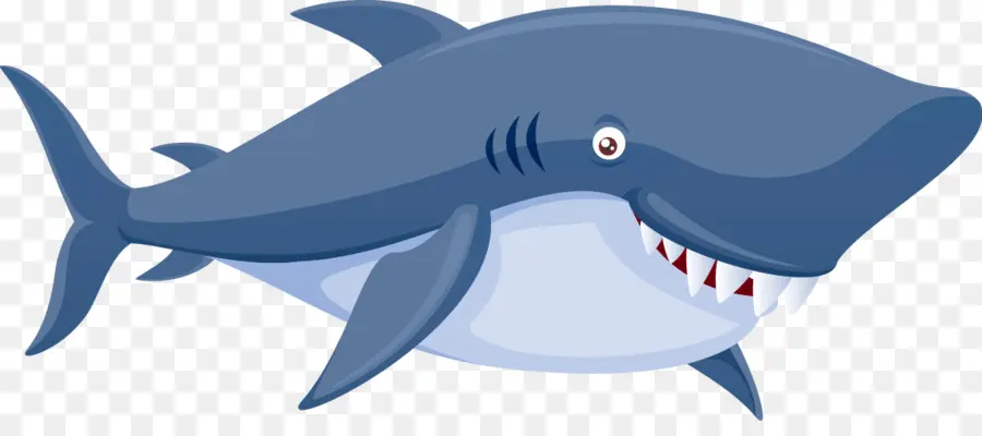 Tubarão，Conteúdo Grátis PNG