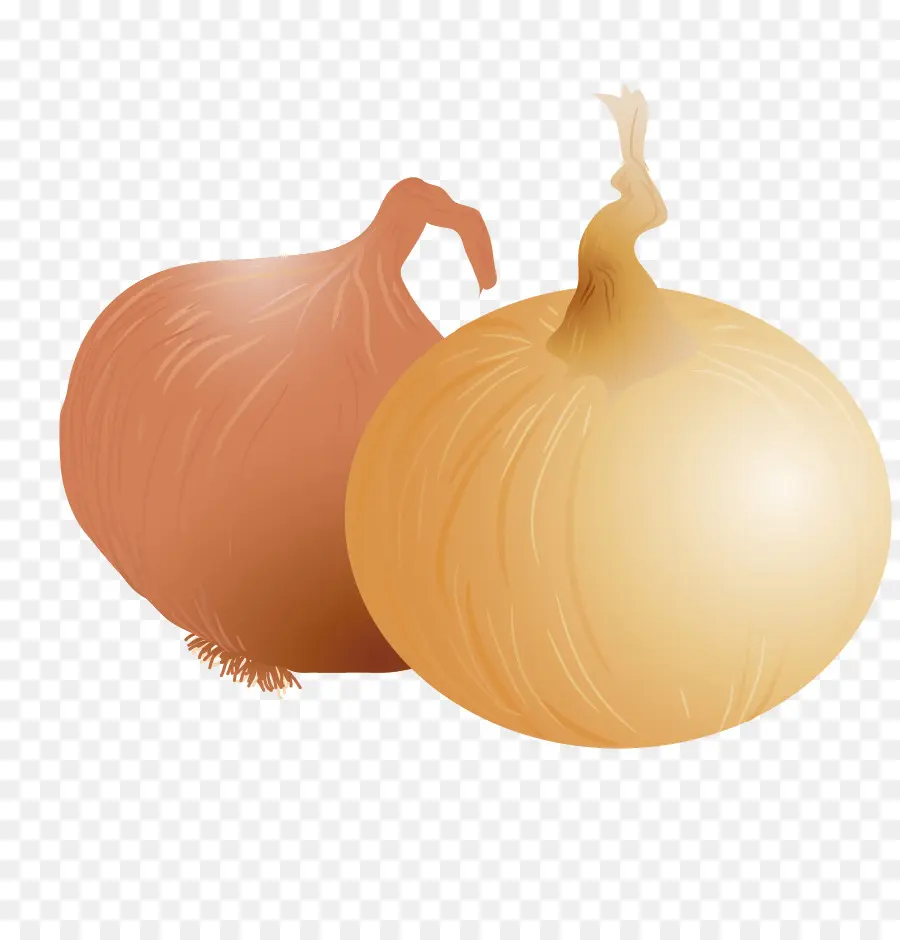 Chalota，Amarelo Cebola PNG