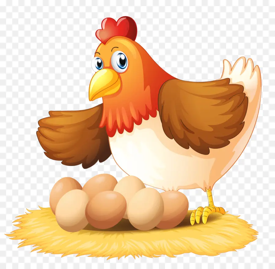 Frango，Ovo PNG