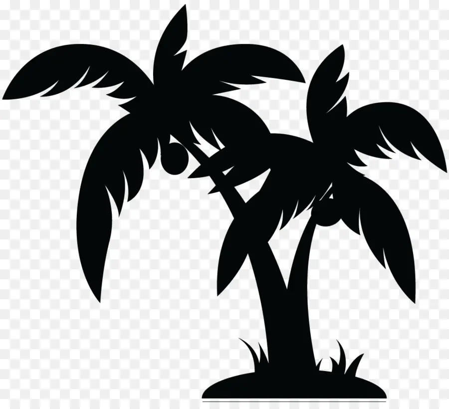 Arecaceae，Preto E Branco PNG