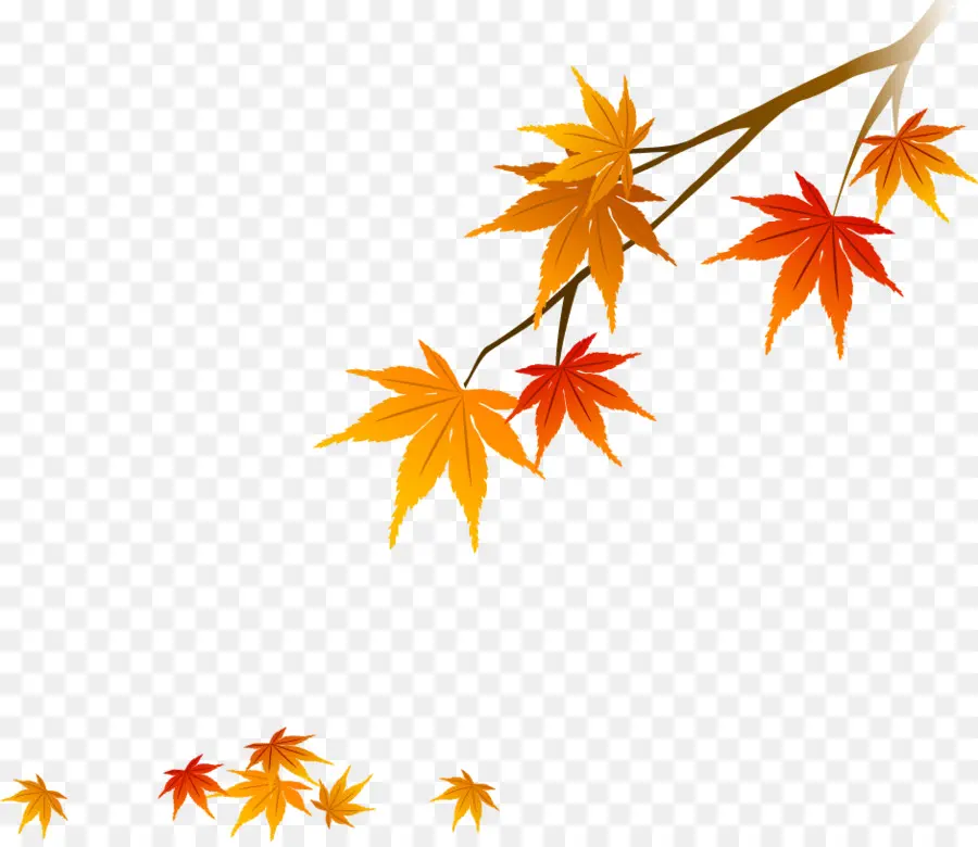 Red Maple，Folha PNG