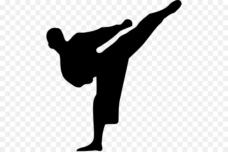 Karate，Chute PNG