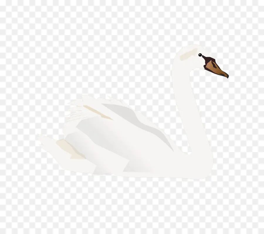 Cisne，Pássaro PNG