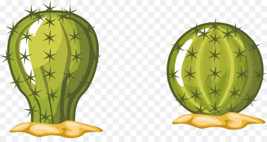 Barbary Fig，Cactaceae PNG