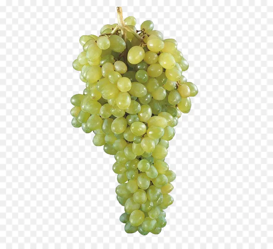 Uvas Verdes，Videira PNG