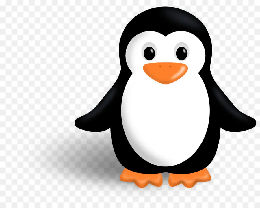 Penguin，Conteúdo Grátis PNG
