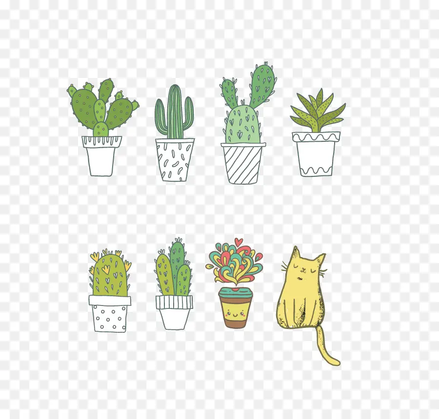 Tshirt，Cactaceae PNG