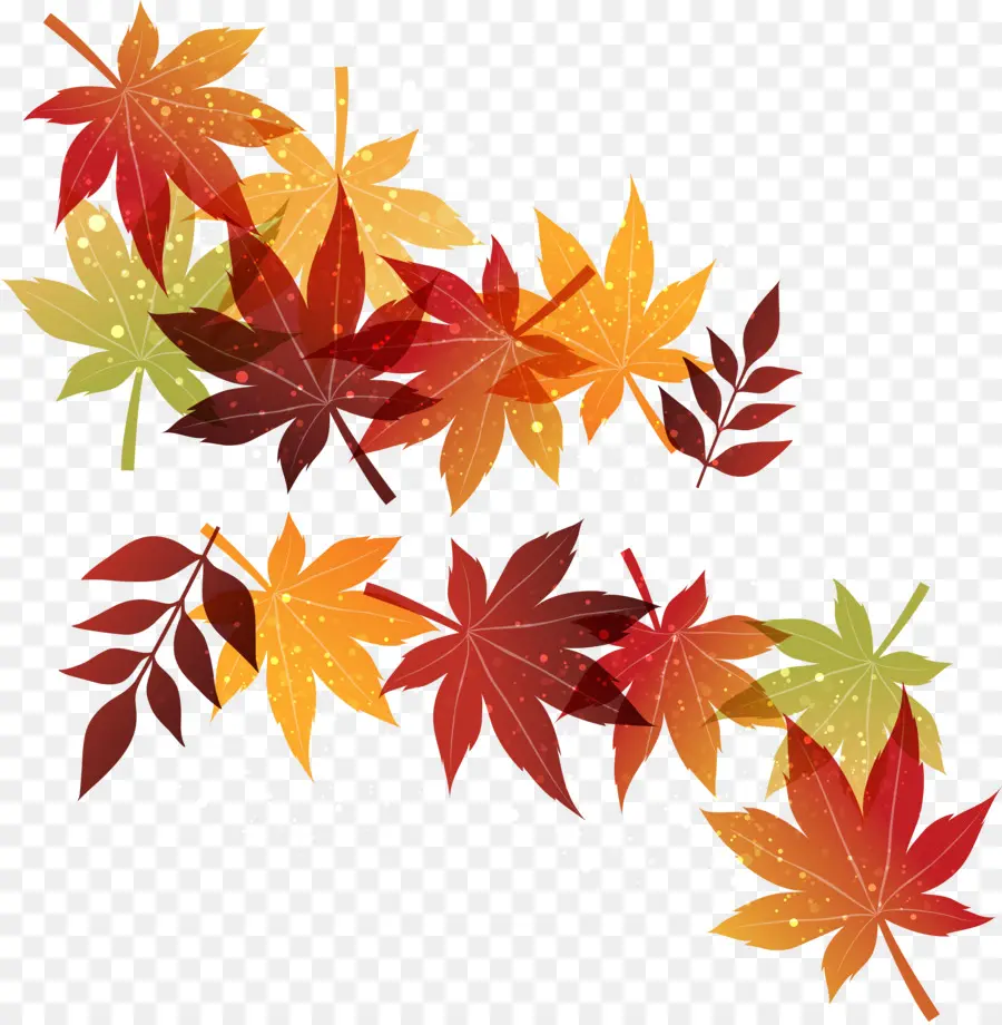 Outono，Maple Leaf PNG