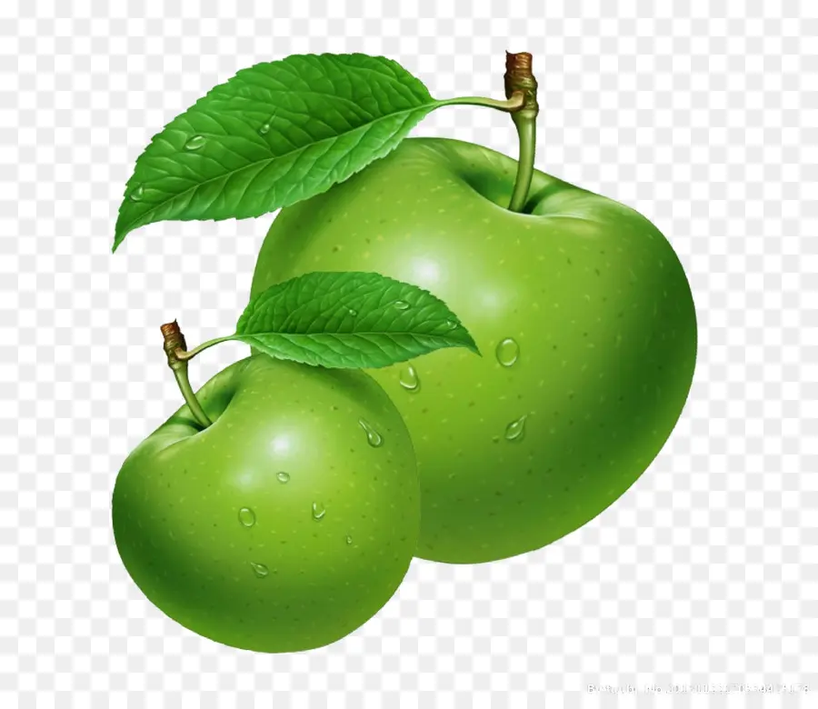 Maçãs Verdes，Folhas PNG