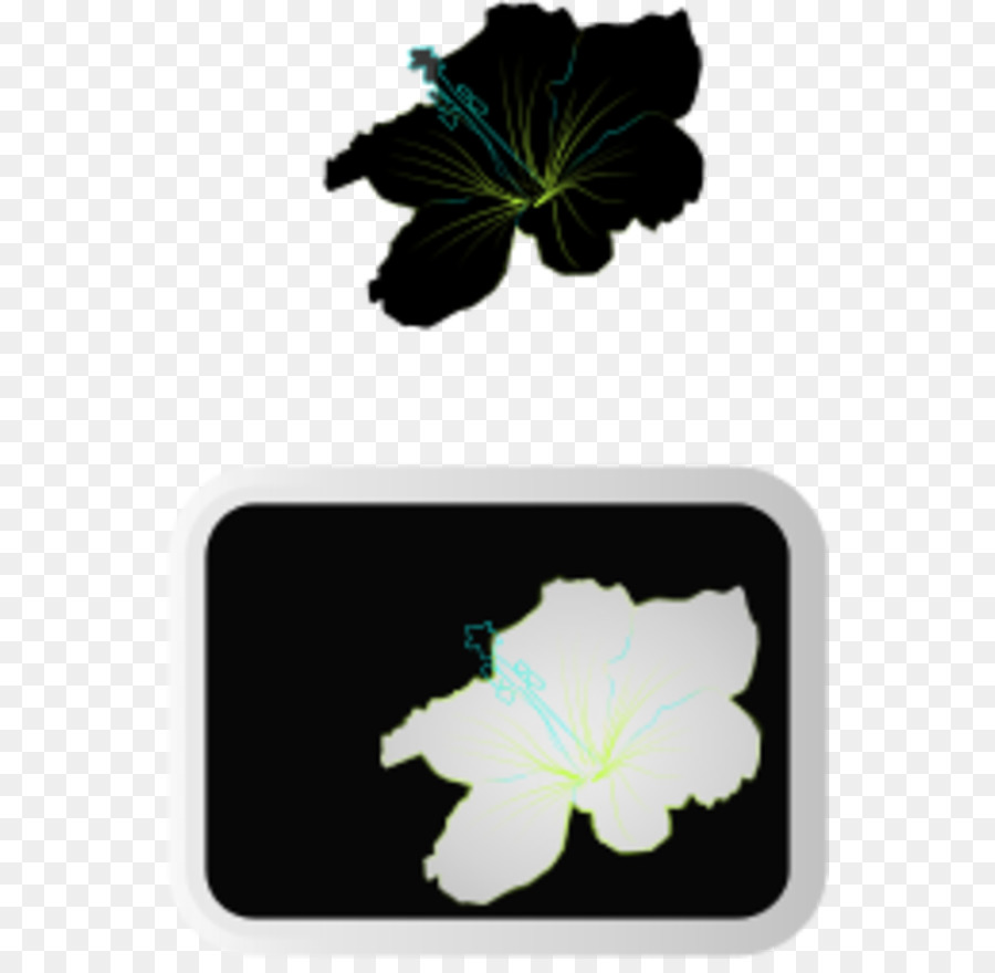 Shoeblackplant，Flor PNG