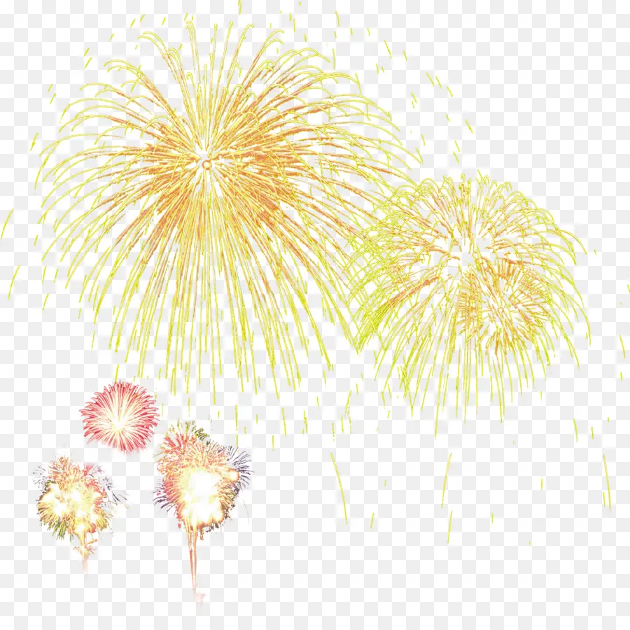 Fogos De Artifício，Ouro PNG