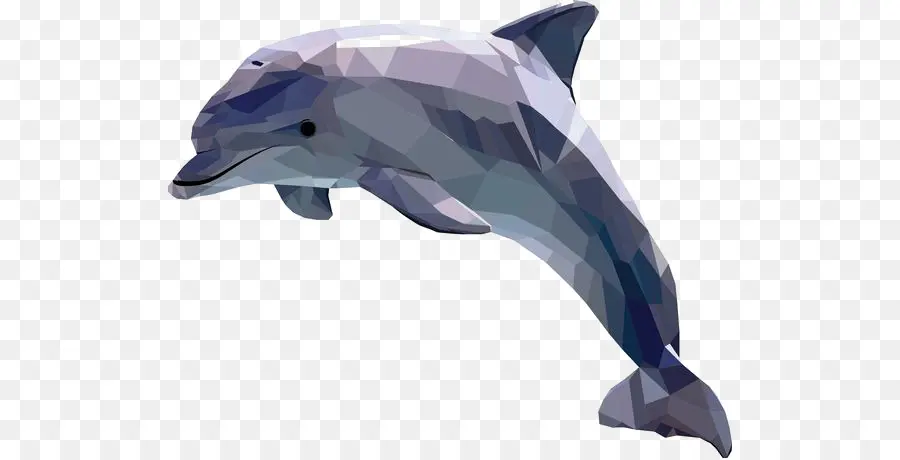 Dolphin，Arte PNG