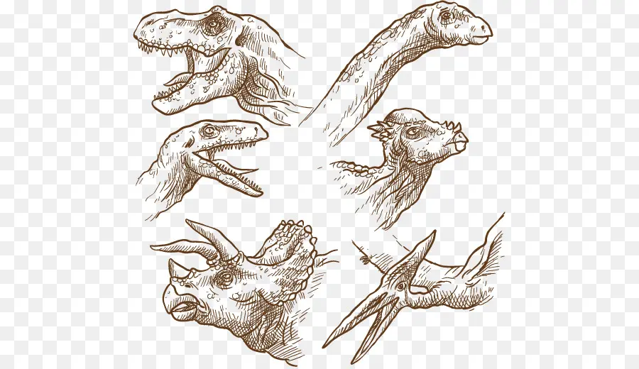 Esboços De Dinossauros，Pré Histórico PNG