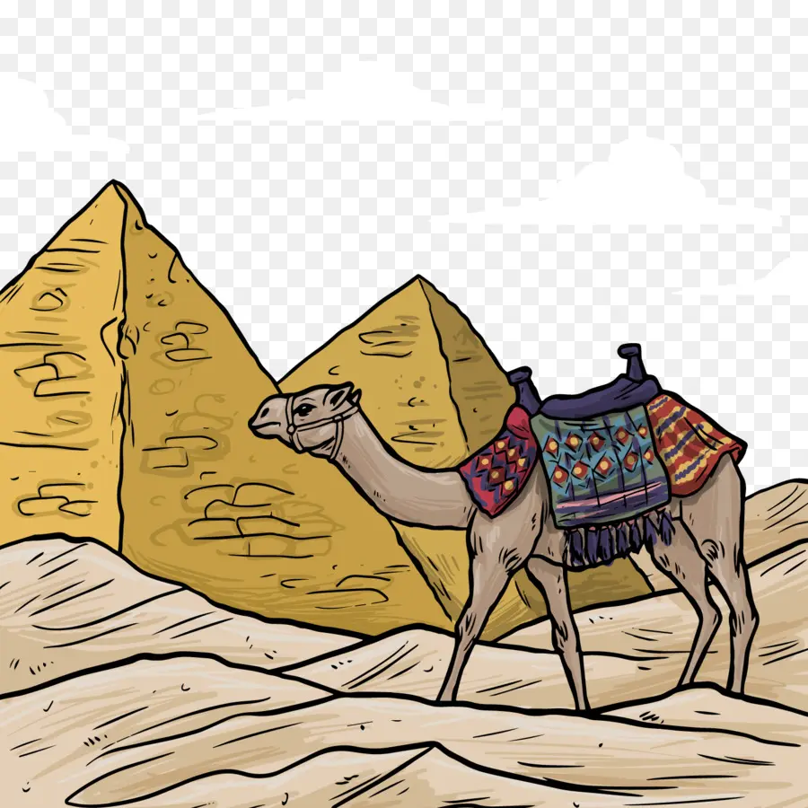 Pirâmides Do Egito，Bactriana Camelo PNG
