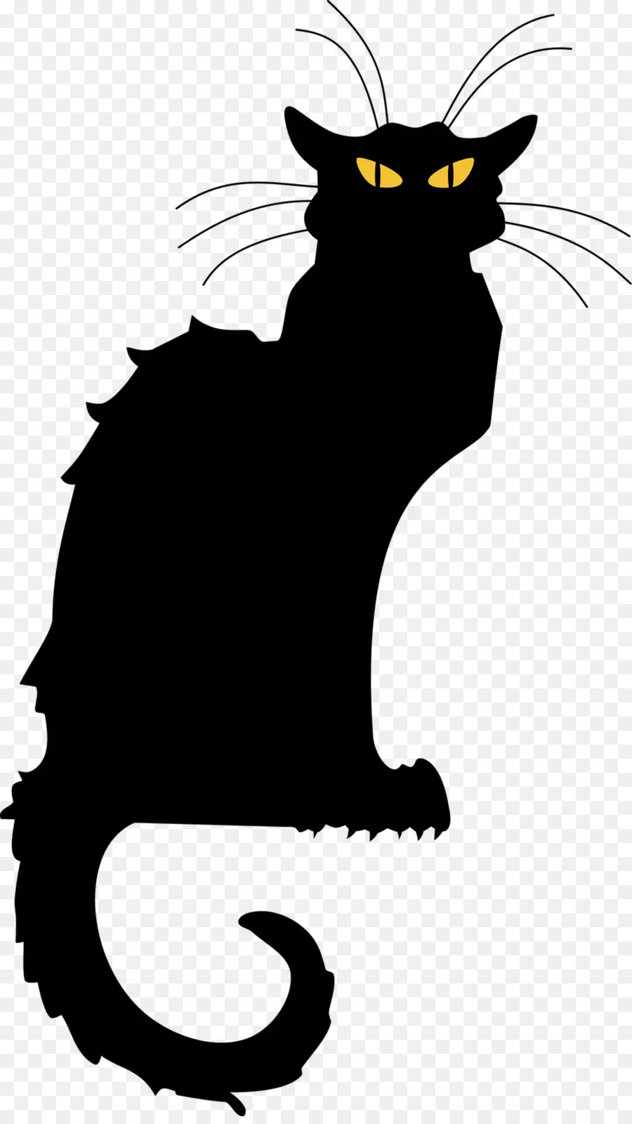 Gato Preto，Animal PNG