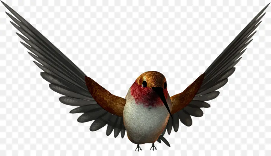 Colibri，Vôo PNG