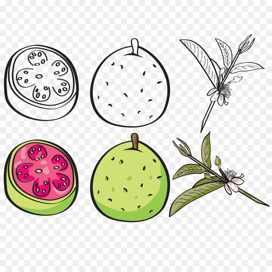 Ilustrações De Frutas，Fruta PNG